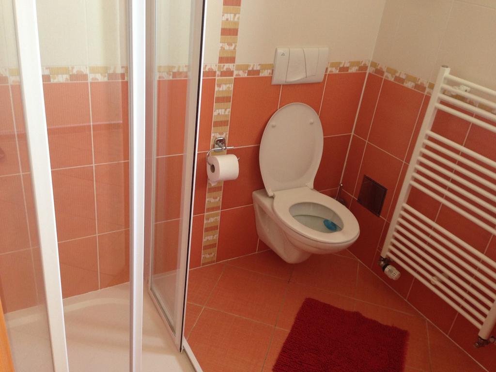 Apartmany Nowy Frymburk Værelse billede